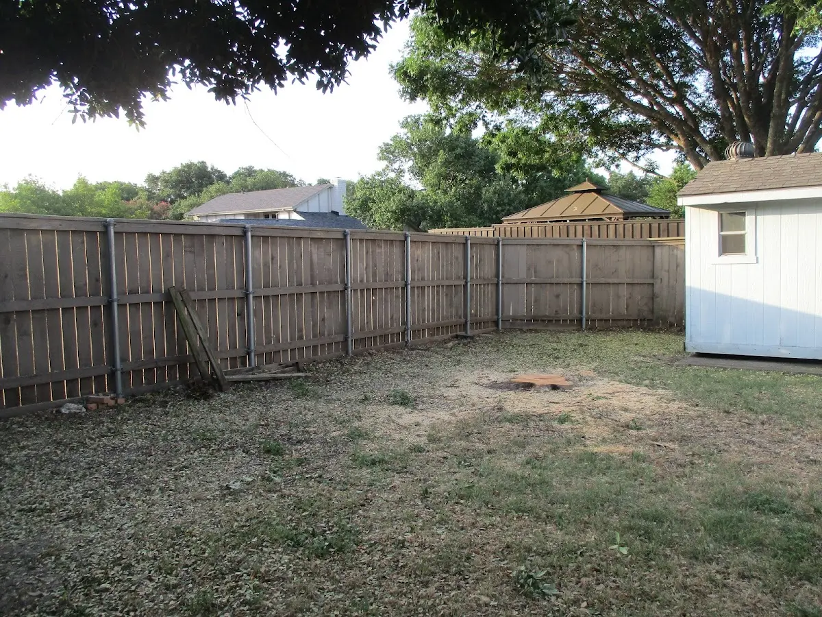 Cleared yard after professional tree removal in Mc Afee